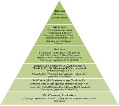 Development and implementation of a strategy for early diagnosis and management of scrub typhus: an emerging public health threat